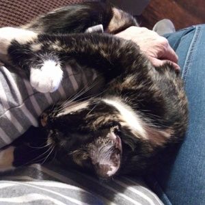 Meet your Posher, Debbie